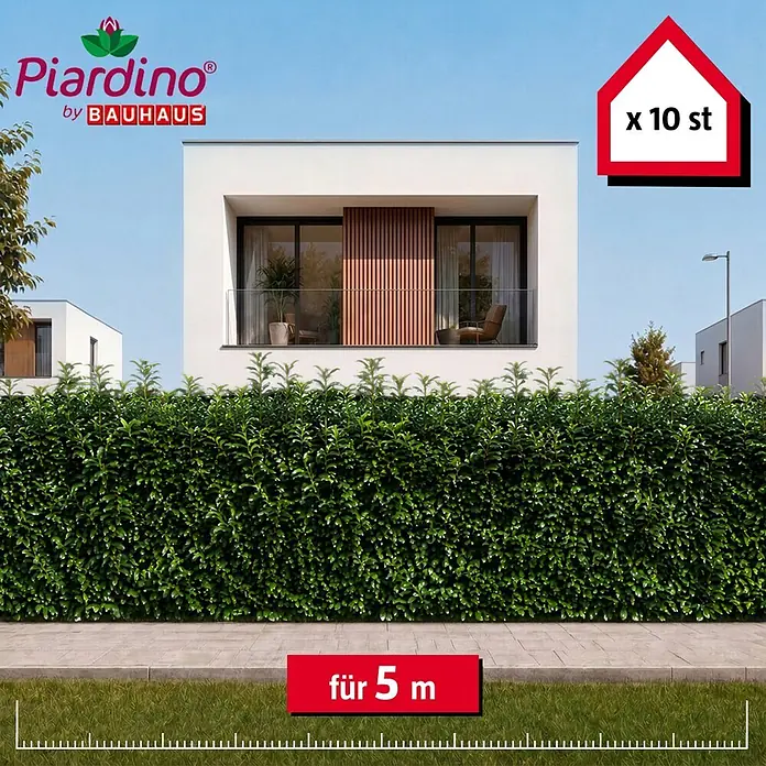 Piardino Kirschlorbeer Genolia - 125 cm - 150 cm, Prunus laurocerasus 'Genolia', 10 Stk. - Piardino grüne Hecke, 10 Stück, für 5 Meter Länge, im Garten dargestellt.