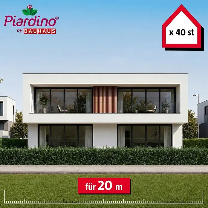 Piardino Kirschlorbeer Genolia - 100 cm - 125 cm, Prunus laurocerasus 'Genolia', 40 Stk. - Piardino by Bauhaus grüne Hecke, 40 Stück für 20 Meter, vor einem modernen Haus.