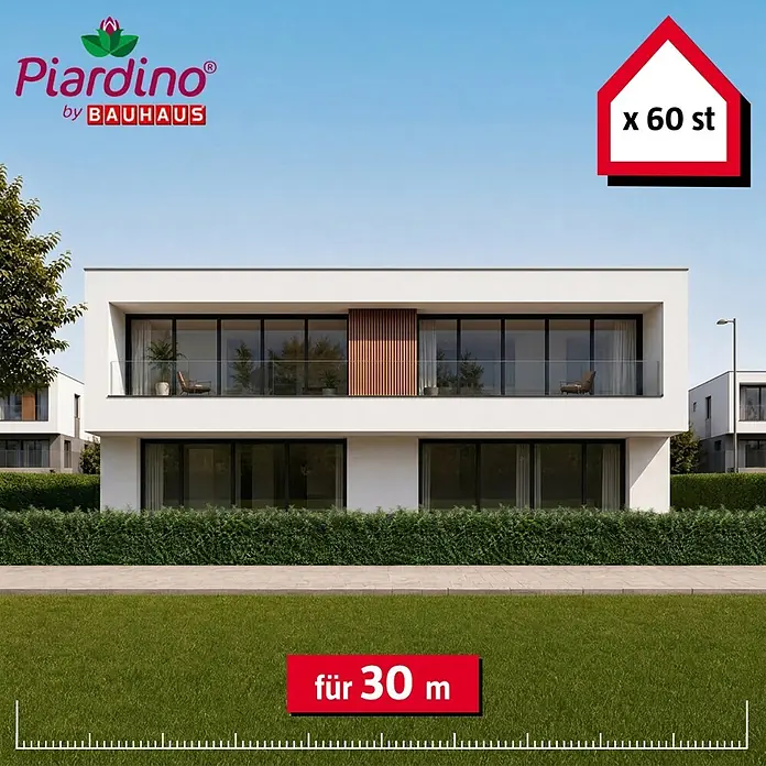 Piardino Kirschlorbeer Genolia - 125 cm - 150 cm, Prunus laurocerasus 'Genolia', 60 Stk. - Grüne Heckenpflanzen für die Landschaftsgestaltung, 60 Stück für 30 Meter Länge.