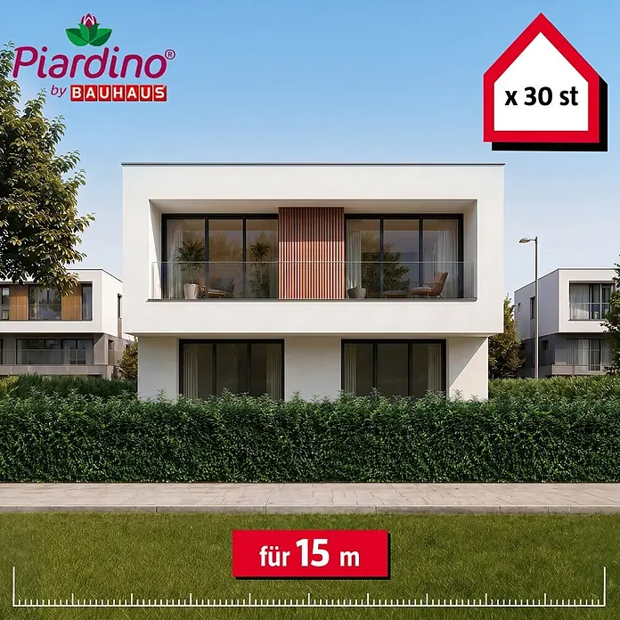 Piardino Kirschlorbeer Genolia - 125 cm - 150 cm, Prunus laurocerasus 'Genolia', 30 Stk. - Piardino Heckenpflanzen, 30 Stk. für 15m, als grüne Begrenzung vor einem modernen Haus.