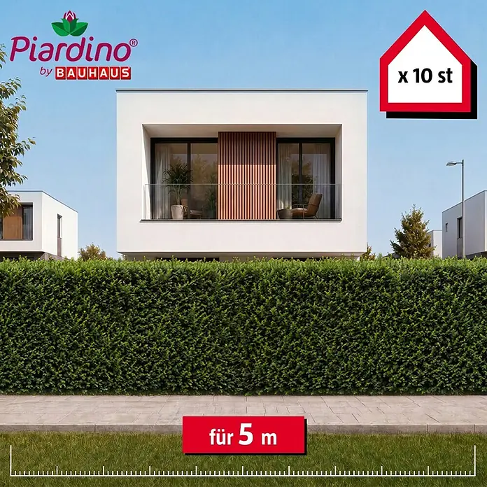 Piardino Heimische Eibe - 120 cm - 140 cm, Taxus baccata, 10 Stk. - Grüne Hecke vor modernen Häusern, 10 Stück für 5 Meter Länge.