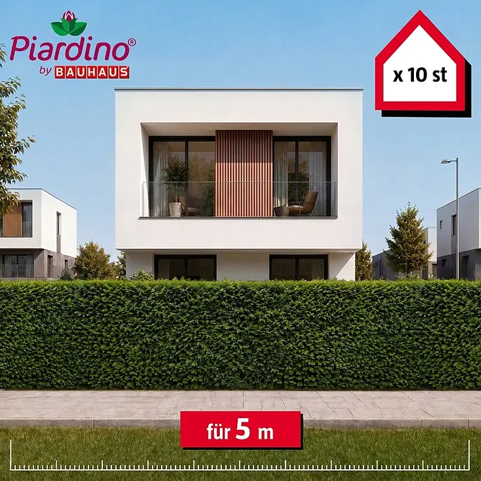 Piardino Heimische Eibe - 100 cm - 120 cm, Taxus baccata, 10 Stk. - Grüne Heckenpflanzen (10 Stück) bilden einen 5 Meter langen Sichtschutz vor modernen Häusern.