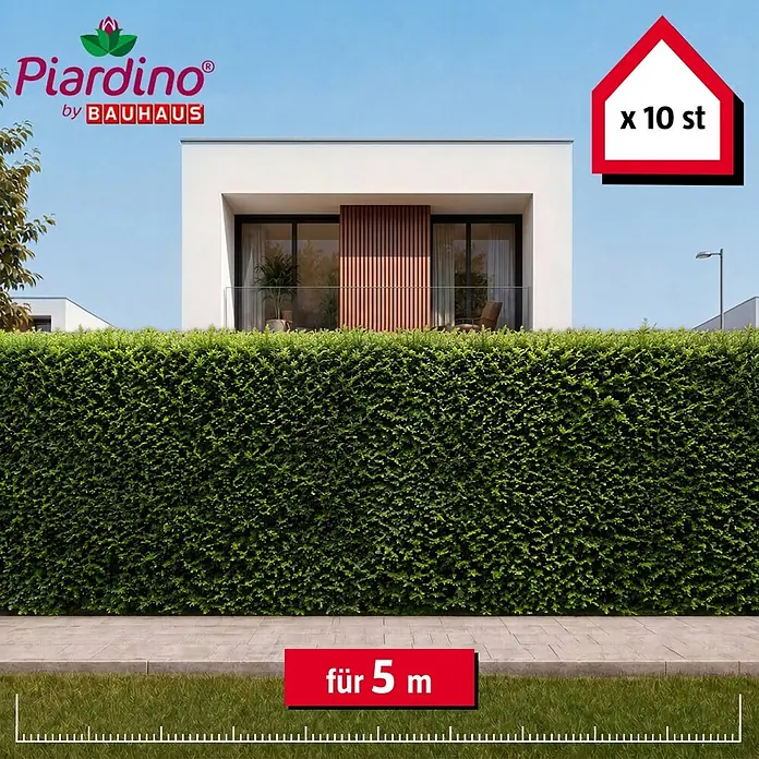 Piardino Heimische Eibe - 180 cm - 200 cm, Taxus baccata, 10 Stk. - Üppige grüne Hecke als Sichtschutz vor einem modernen Haus, 10 Stück für 5 Meter Länge.