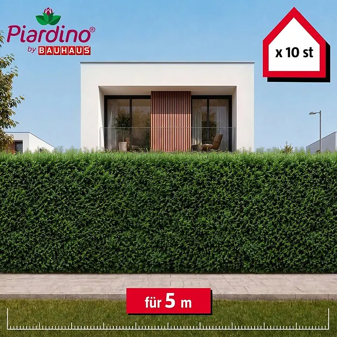 Piardino Heimische Eibe - 160 cm - 180 cm, Taxus baccata, 10 Stk. - Grüne Hecke vor einem modernen Haus, geeignet für 5 Meter, geliefert in 10 Stück.
