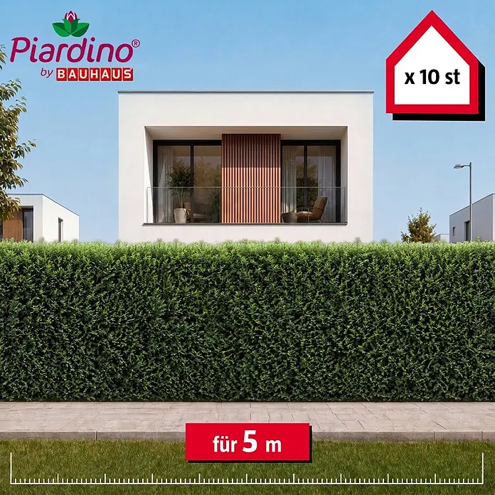 Piardino Heimische Eibe - 140 cm - 160 cm, Taxus baccata, 10 Stk. - Üppige grüne Heckenpflanzen, als 10er-Pack für 5 Meter, wachsen in einem Garten vor einem modernen Haus.