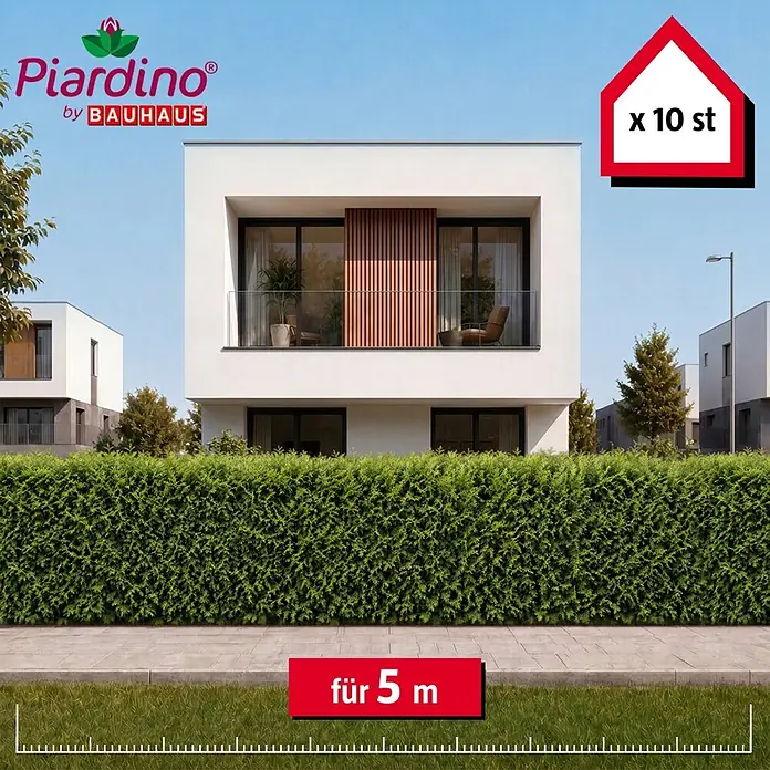 Piardino Lebensbaum Brabant - 100 cm - 120 cm, Thuja occidentalis 'Brabant', 10 Stk. - Grüne Heckenpflanzen bilden eine 5m lange Sichtschutzhecke vor einem modernen Haus, 10 Stück.