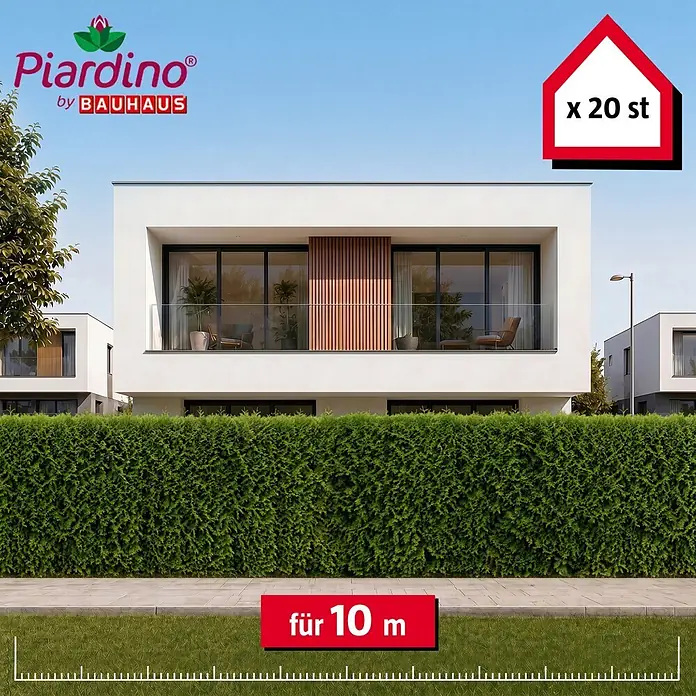Piardino Lebensbaum Brabant - 180 cm - 200 cm, Thuja occidentalis 'Brabant', 20 Stk. - Dichte grüne Hecke aus 20 Thuja-Pflanzen für 10 Meter vor modernen Häusern.