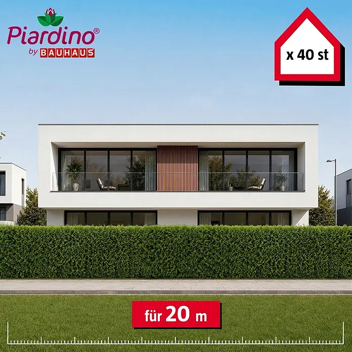 Piardino Lebensbaum Brabant - 180 cm - 200 cm, Thuja occidentalis 'Brabant', 40 Stk. - Grüne Heckenpflanzen (40 St.) für 20 Meter, vor modernem Haus.