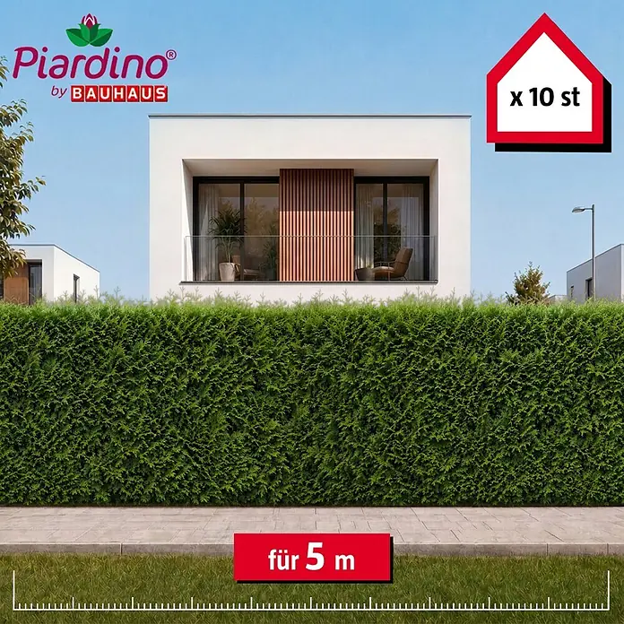 Piardino Lebensbaum Brabant - 160 cm - 180 cm, Thuja occidentalis 'Brabant', 10 Stk. - Üppige grüne Heckenpflanzen (10 Stück für 5 Meter) in moderner Gartenumgebung.