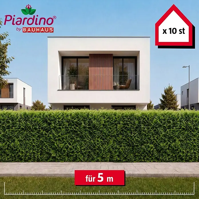 Piardino Lebensbaum Brabant - 120 cm - 140 cm, Thuja occidentalis 'Brabant', 10 Stk. - Üppige grüne Hecke vor modernen Häusern, ein Set von 10 Pflanzen für 5 Meter darstellend.