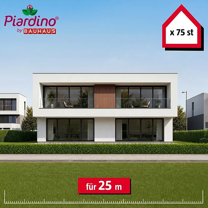 Piardino Lebensbaum Brabant - 60 cm - 80 cm, Thuja occidentalis 'Brabant', 75 Stk. - Piardino Heckenpflanzen von BAUHAUS, 75 Stück für 25 Meter Hecke, dargestellt in einem modernen Gartenambiente.