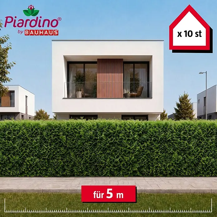 Piardino Lebensbaum Smaragd - 120 cm - 140 cm, Thuja occidentalis 'Smaragd', 10 Stk. - Grüne Heckenpflanzen für eine 5 Meter lange Hecke, verkauft als Set mit 10 Stück.