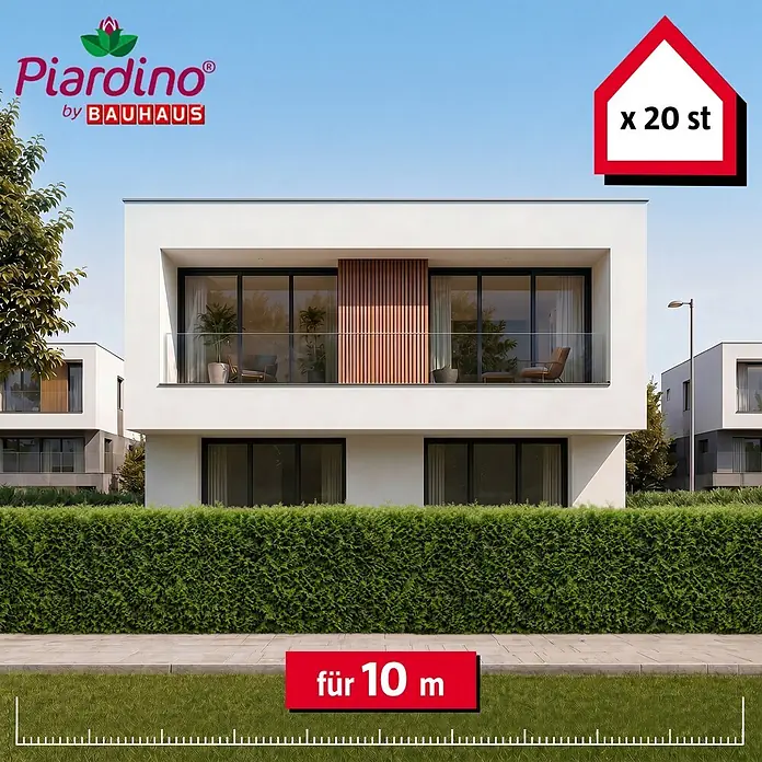 Piardino Lebensbaum Brabant - 120 cm - 140 cm, Thuja occidentalis 'Brabant', 20 Stk. - Piardino by Bauhaus grüne Hecke, 20 Stück für 10 Meter, vor modernen Häusern.
