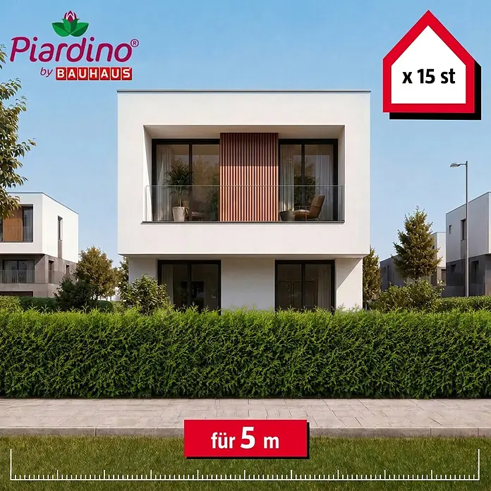 Piardino Lebensbaum Brabant - 80 cm - 100 cm, Thuja occidentalis 'Brabant', 15 Stk. - Heckenpflanzen für 5 Meter, 15 Stück, dargestellt als dichte grüne Hecke vor einem modernen Haus.