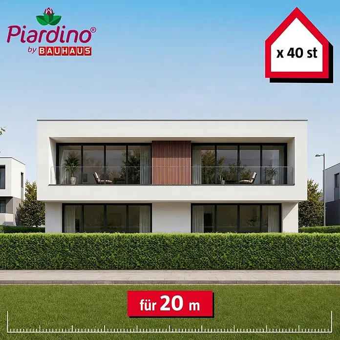 Piardino Lebensbaum Brabant - 120 cm - 140 cm, Thuja occidentalis 'Brabant', 40 Stk. - 40 Heckenpflanzen für eine 20-Meter-Hecke, in moderner Gartenumgebung.