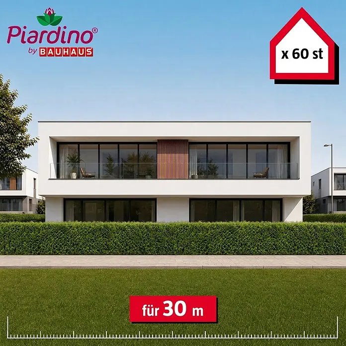 Piardino Lebensbaum Brabant - 140 cm - 160 cm, Thuja occidentalis 'Brabant', 60 Stk. - Piardino by BAUHAUS Heckenpflanzen-Set für 30m, 60 Stück, als dichte grüne Hecke vor einem modernen Haus.