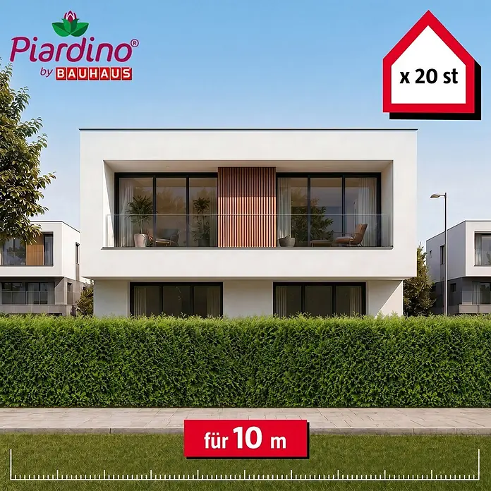Piardino Lebensbaum - 140 cm - 160 cm, Thuja occidentalis 'Brabant', 20 Stk. - Grüne Heckenpflanzen für Sichtschutz, 10 Meter Länge (20 Stück), in einem modernen Gartenambiente.