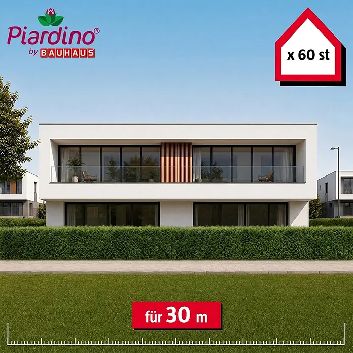 Piardino Lebensbaum Smaragd - 140 cm - 160 cm, Thuja occidentalis 'Smaragd', 60 Stk. - Piardino Heckenpflanzen für 30 Meter. Jede Packung enthält 60 Stück.