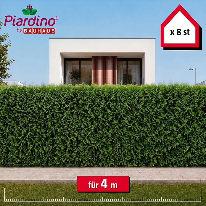 Piardino Lebensbaum Smaragd - 200 cm - 220 cm, Thuja occidentalis 'Smaragd', 8 Stk. - Grüne Thuja-Hecke vor modernem Haus, 8 Pflanzen für 4 Meter Abdeckung.