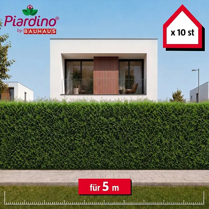 Piardino Lebensbaum Smaragd - 160 cm - 180 cm, Thuja occidentalis 'Smaragd', 10 Stk. - Set aus 10 grünen Heckenpflanzen, zur Gestaltung einer 5 Meter langen Gartenhecke, in einer Außenumgebung dargestellt.
