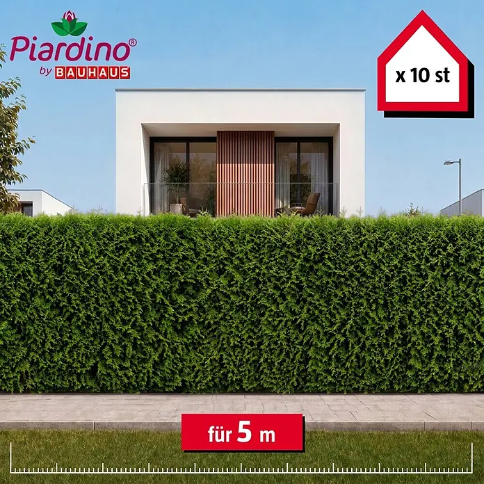 Piardino Lebensbaum Smaragd - 180 cm - 200 cm, Thuja occidentalis 'Smaragd', 10 Stk. - Grüne Heckenpflanzen, 10 Stück für 5 Meter, in einer Gartenumgebung.