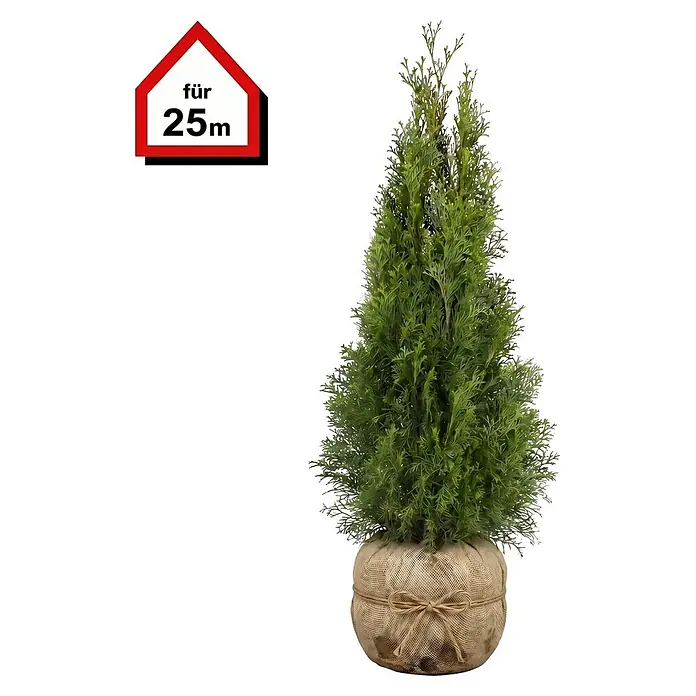 Piardino Lebensbaum Smaragd - 80 cm - 100 cm, Thuja occidentalis 'Smaragd', 75 Stk. - Grüne Kunstpflanze in Jute-ummanteltem Topf mit Schnur, versehen mit rotem Haus-Schild 'für 25m'.