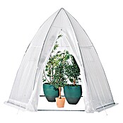 Zaščitni šotor pred mrazom  (Ø x V: 3,2 x 2,8 m, Debelina folije: 150 g/m²) | 7481 - Folien / Netze / Winterschutz | IAGG - Gartenartikel | IAG - Außenbereichsausstattung | IA - Gartenhartware | I - Stadtgarten | BAUHAUS