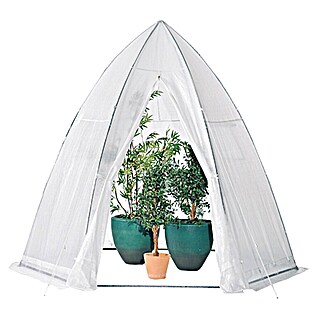Zaščitni šotor pred mrazom (Ø x V: 3,2 x 2,8 m, Debelina folije: 150 g/m²)