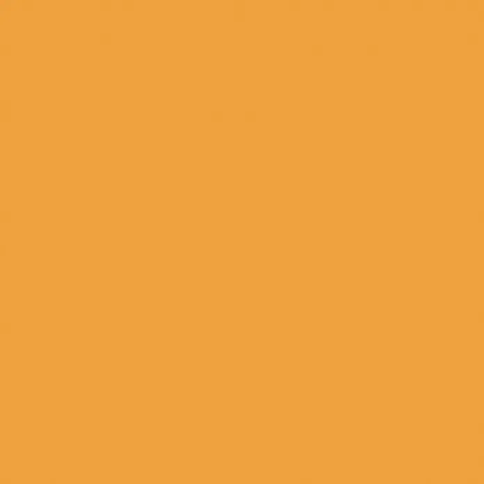SCHÖNER WOHNEN-Farbe Vollton- & Abtönfarbe Silikat - Beige, Matt, 250 ml - Einfarbiger, quadratischer Hintergrund in einem warmen Orangeton, ideal als vielseitige Textur oder Fläche für Grafikdesign-Projekte.