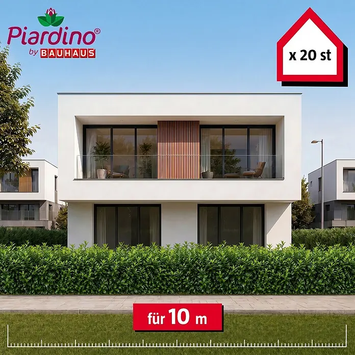 Piardino Kirschlorbeer Caucasica - 100 cm - 125 cm, Prunus laurocerasus 'Caucasica', 20 Stk. - Grüne Hecke vor modernem Haus. Produkt bietet 10 Meter Hecke mit 20 Stück.