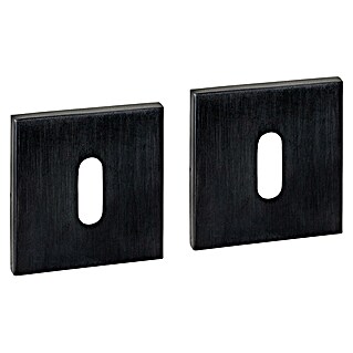 Intersteel Toiletdeurgarnituur (Roestvrij staal, Zwart)