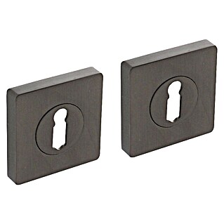 Intersteel Toiletdeurgarnituur (Antraciet, Vierkant)