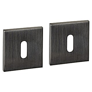 Intersteel Toiletdeurgarnituur (Roestvrij staal, Antraciet)
