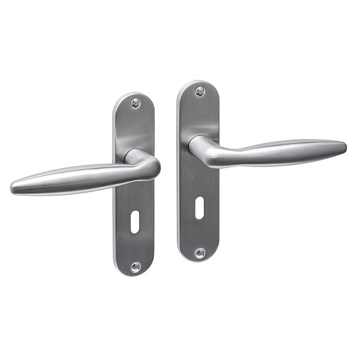 Intersteel Deurklink Jupiter Basic (Roestvrij staal, RVS) | BAUHAUS