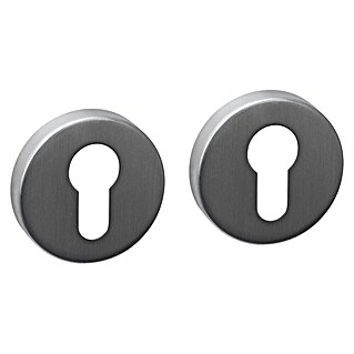 Intersteel Rozet Basic (Roestvrij staal, RVS)
