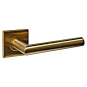 Intersteel Deurklink Q04 (Roestvrij staal, Messing) | BAUHAUS