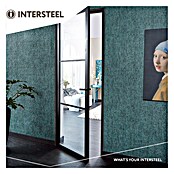Intersteel Deurklink Amsterdam (Roestvrij staal, Zwart) | BAUHAUS
