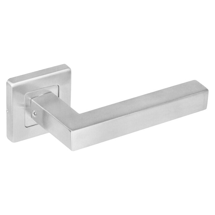 Intersteel Deurklink (Roestvrij staal, RVS) | BAUHAUS