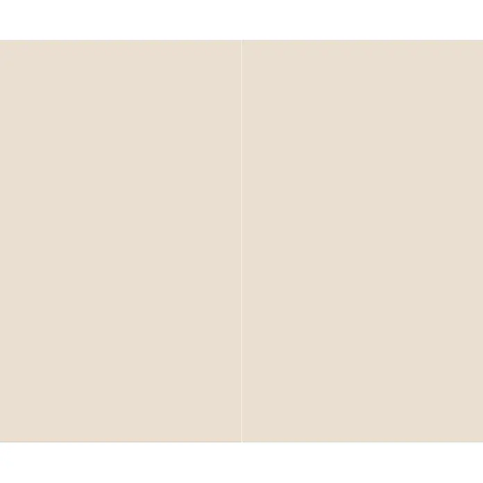 SanDesign Alu-Verbundplatte - 150 x 250 cm, Sandy Beige - Helle beige glatte Oberfläche mit einer subtilen vertikalen Trennlinie.