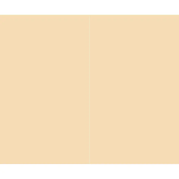 SanDesign Alu-Verbundplatte - 150 x 250 cm, Wheat Yellow - Hellorangefarbener Hintergrund mit einer dezenten vertikalen Linie.