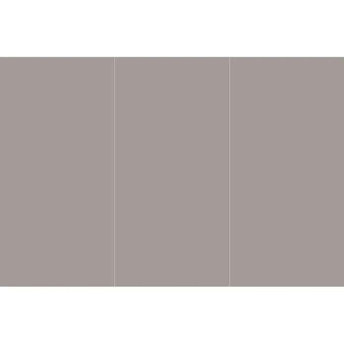 SanDesign Alu-Verbundplatte - 125 x 250 cm, Warm Grey - Solide taupefarbene Platte mit zwei dünnen, hellen vertikalen Linien.