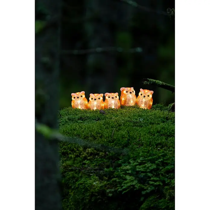 Konstsmide LED-Dekofigur - Außen, Lichtfarbe: Warmweiß, Anzahl Leuchtmittel: 40 Stk., Netzbetrieben - Sechs leuchtende orangefarbene Eulenfiguren auf einer moosigen Oberfläche in einem dunklen Wald, die warmes Licht ausstrahlen.