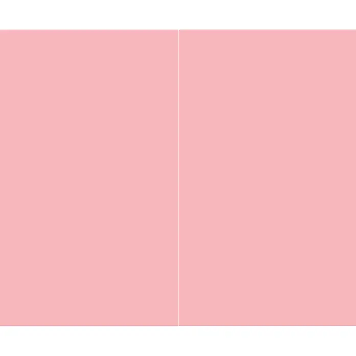 SanDesign Alu-Verbundplatte - 150 x 250 cm, Bright Pink - Hellrosa Hintergrund mit einer feinen weißen vertikalen Trennlinie.