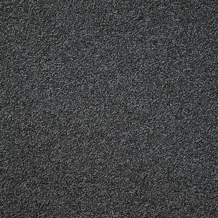 Bricoflor Teppichboden Meterware Schlinge meliert, anthrazit schwarz, 500 x 400 cm - Breite: 400 cm, Schlinge, 100 % Polyamid (PA), anthrazit schwarz - Dunkelgraue melierte Teppichstruktur.