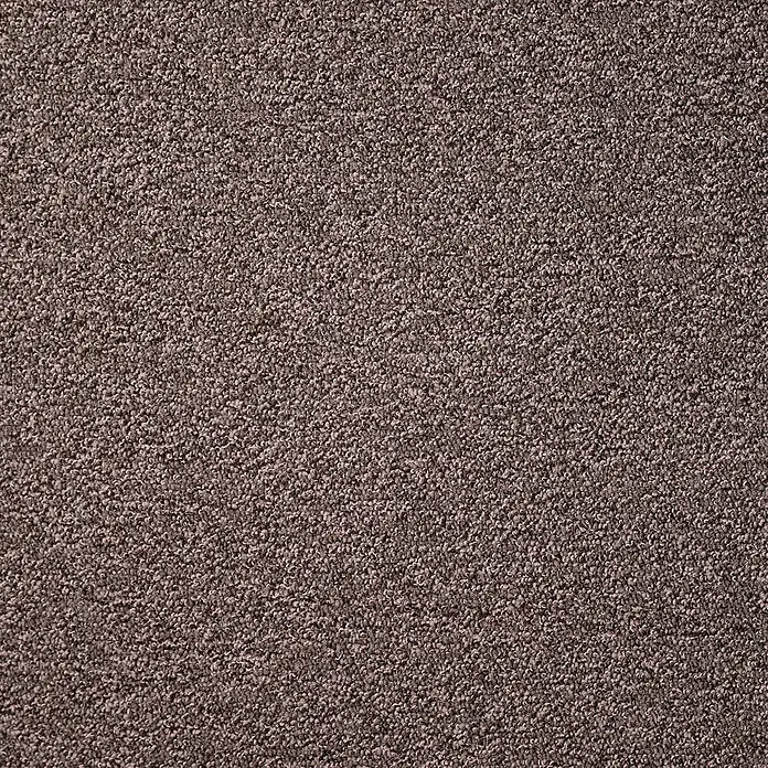 Bricoflor Teppichboden Meterware 7x4m, Schlinge meliert, braun - Schlinge, 100 % Polyamid (PA), braun - Nahaufnahme eines strukturierten braunen Schlingenflorteppichs. Das melierte Design bietet eine gemütliche, strapazierfähige Oberfläche.