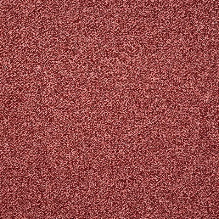 Bricoflor Teppichboden Meterware Schlinge meliert, dunkel-rot, 300 x 500 cm - Breite: 500 cm, Schlinge, 100 % Polyamid (PA), dunkel-rot - Nahaufnahme einer strukturierten roten Teppich- oder Teppichoberfläche mit Schlingenflor.
