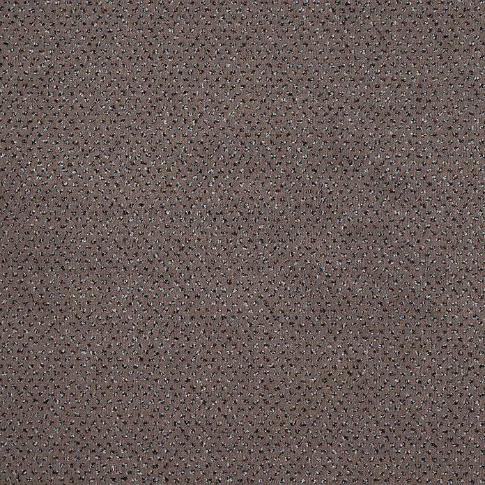 Bricoflor Teppichboden Meterware Velours gemustert, braun grau, 550 x 400 cm - Breite: 400 cm, Velours, 100 % Polyamid (PA), braun grau - Braune gesprenkelte Stofftextur mit schwarzen und hellblauen Sprenkeln, für Polster oder Teppich.