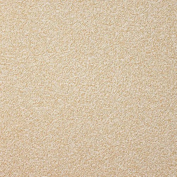 Bricoflor Teppichboden Meterware 2x4m, Schlinge meliert, beige - Schlinge, 100 % Polyamid (PA), beige - Hellbeige, dicht strukturierte Schlingenflor-Teppichoberfläche.