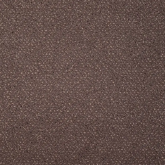 Bricoflor Teppichboden Meterware 2,5x4m, Velours gemustert, dunkel-braun - Velours, 100 % Polyamid (PA), dunkel-braun - Dunkelbraune, strukturierte Stofftextur mit feinen Sprenkeln.