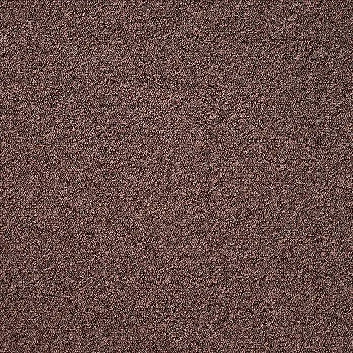 Bricoflor Teppichboden Meterware 2,5x4m, Schlinge meliert, dunkel-braun - Schlinge, 100 % Polyamid (PA), dunkel-braun - Dunkelbraune, strukturierte Teppich- oder Stoffoberfläche mit dichtem Schlingenflor.